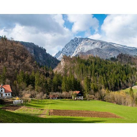 Vila Turisticna Kmetija Stoglej Luče Exteriér fotografie