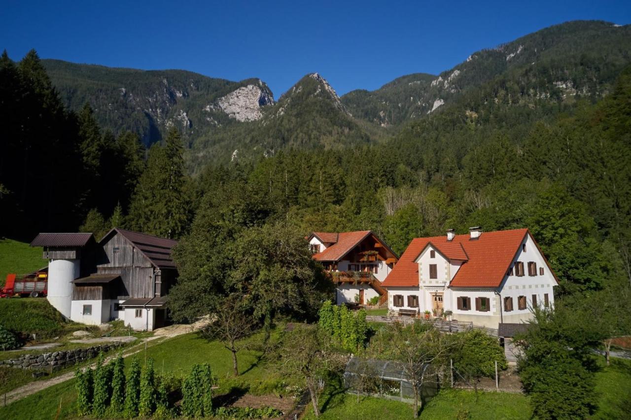 Vila Turisticna Kmetija Stoglej Luče Exteriér fotografie