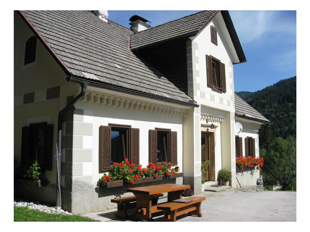 Vila Turisticna Kmetija Stoglej Luče Exteriér fotografie