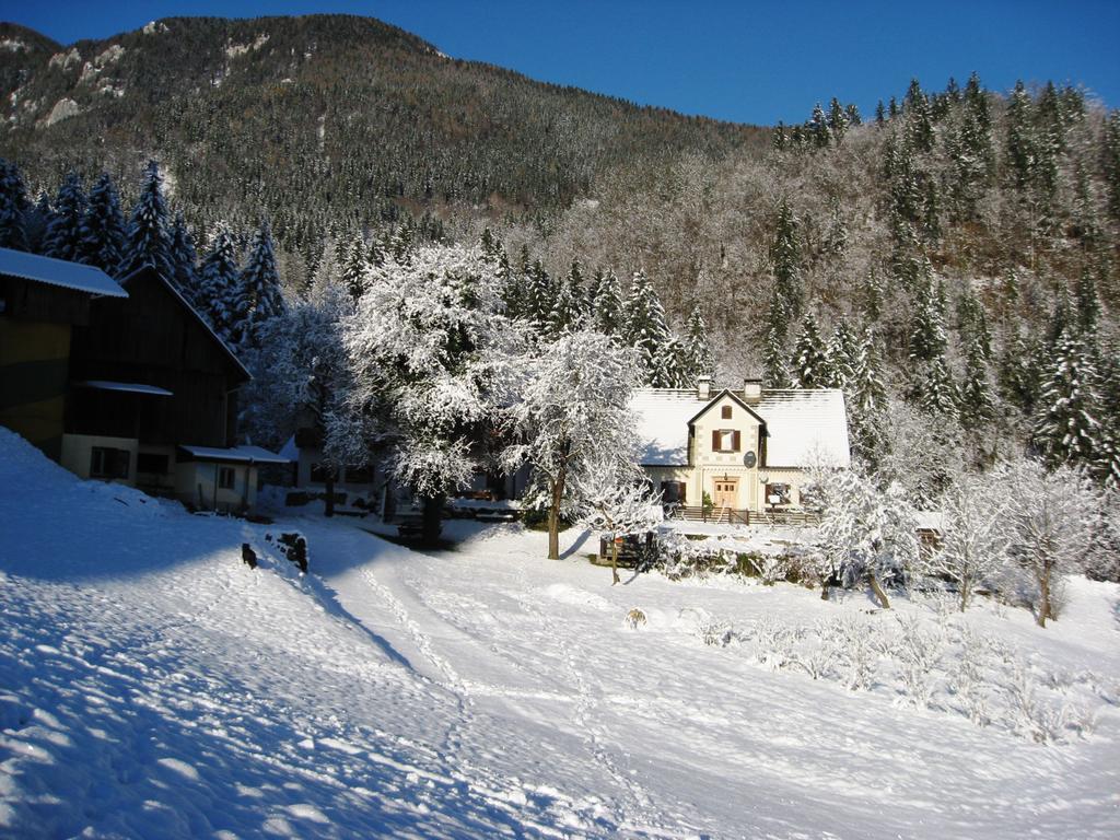 Vila Turisticna Kmetija Stoglej Luče Exteriér fotografie